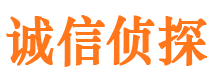 武川市侦探公司